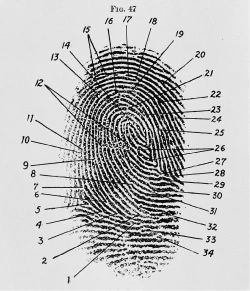 Fingerprints Comperison